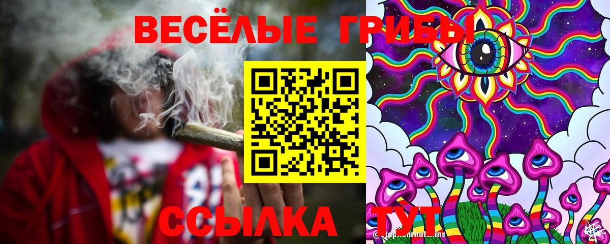 купить закладку  Вход с VPN  Камышлов  Галлюциногенные грибы Psilocybine cubensis 
